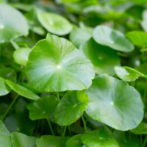 Waarom vitaliteit op de werkvloer?